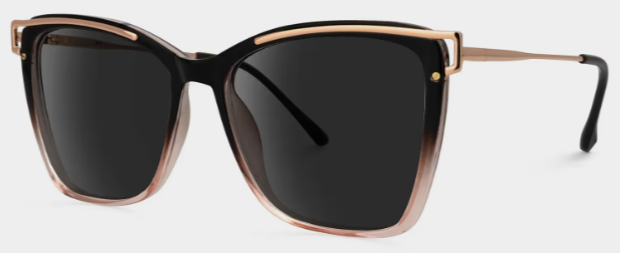 Krystle Square Noir-Marron Lunettes de soleil à Monture en Ligne | ZEELOOL FR2