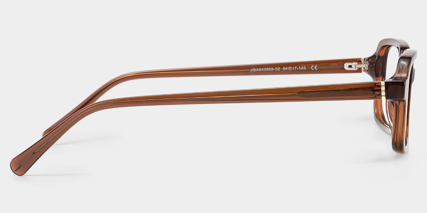 Danielle Lunettes rectangulaires en acétate marron4