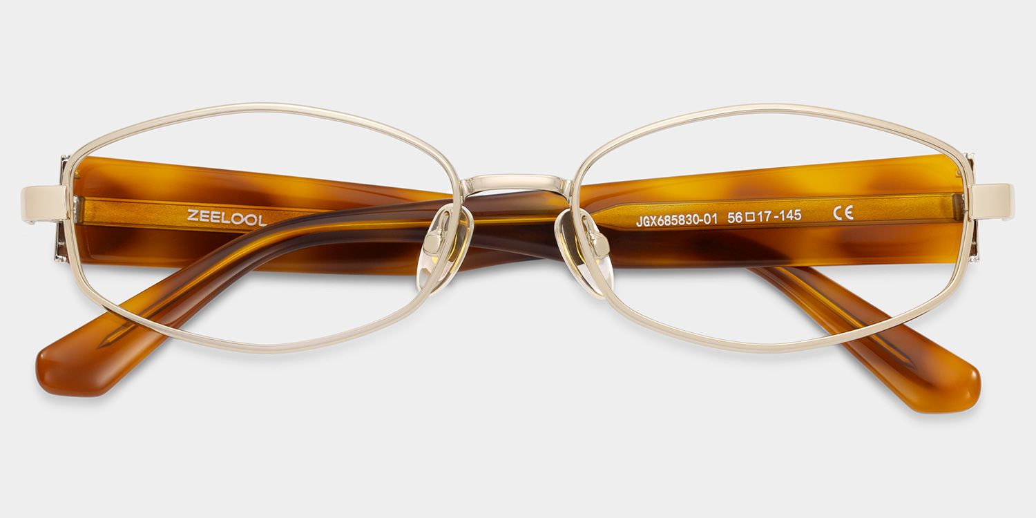 Dakota Lunettes en métal à motif tortue géométrique1