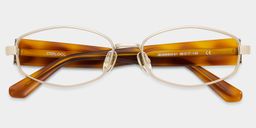 Lunettes en métal à motif tortue géométrique1