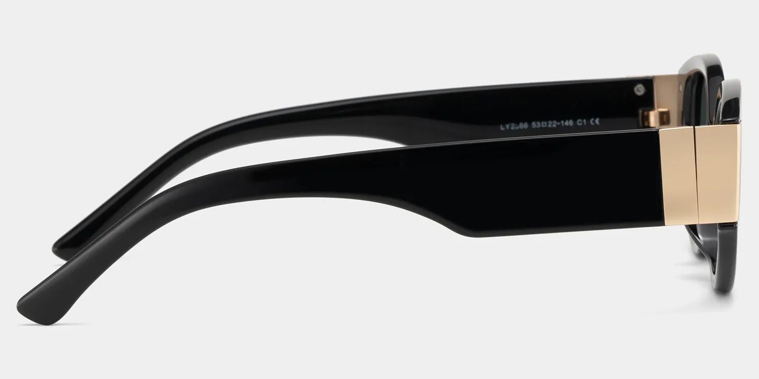 Lunettes de soleil de style Geometric Black | ZEELOOL Découvrir ZEELOOL3