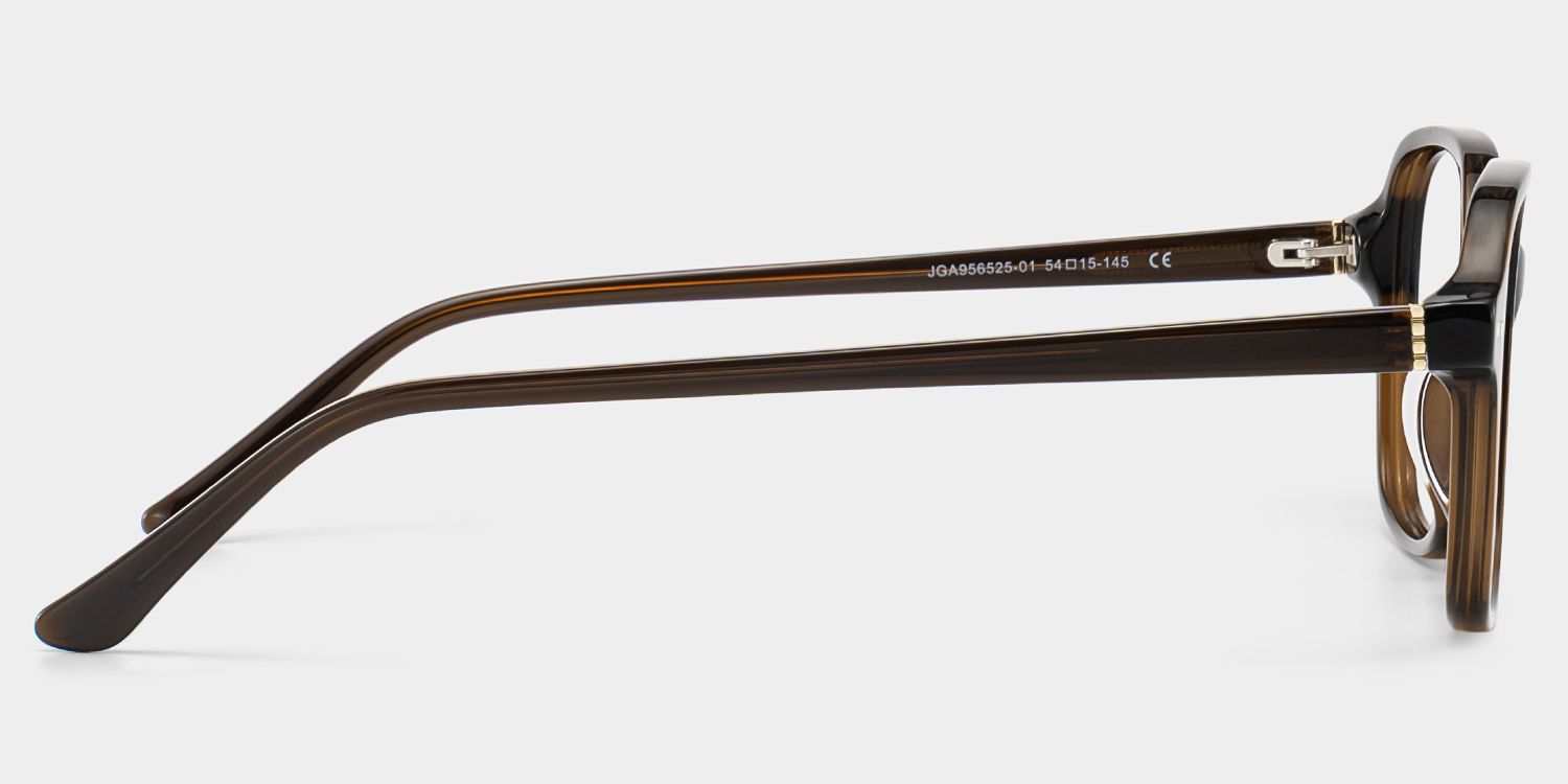 Clementine Lunettes carrées en acétate marron4