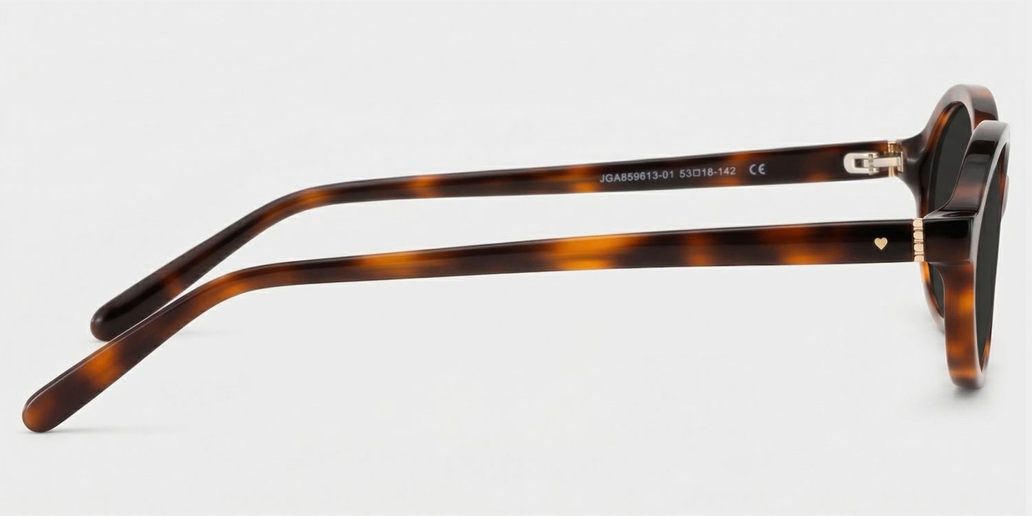 Lunettes de soleil polarisées de conduite Oval Tortue Everly | ZEELOOL3
