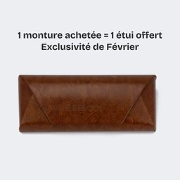 Lunettes rectangulaires marron foncé TR900