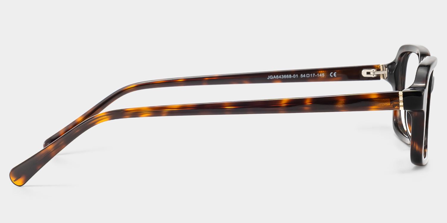 Danielle Lunettes rectangulaires en acétate tortue4