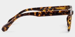 Lunettes rectangulaires tortue Nick3