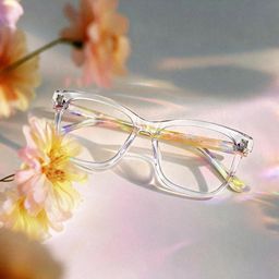 Papillon Acétate Transparent Lunettes1