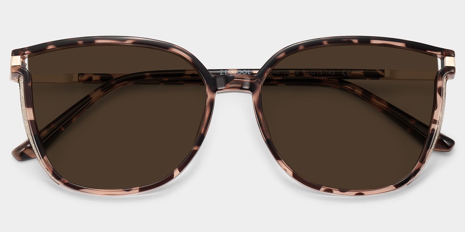 Lunettes de soleil polarisées de conduite Square Tortue Rodz | ZEELOOL1