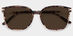 Rodz Tortue Carré lunettes de soleil1