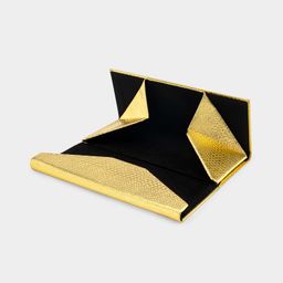 Étui à Lunettes Doré Portable3