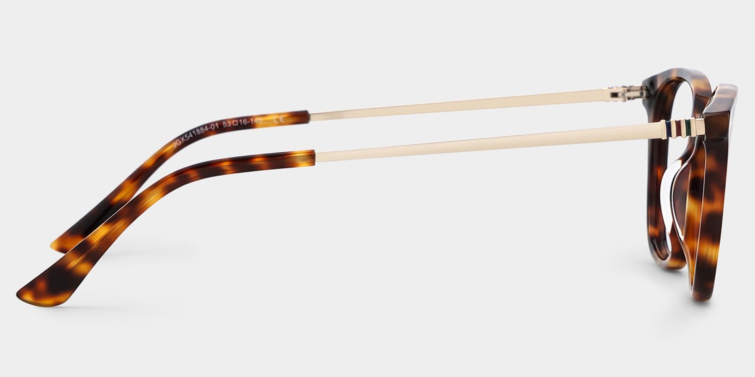 Finch Tortue Rectangle Lunettes4