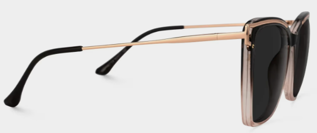 Krystle Square Noir-Marron Lunettes de soleil à Monture en Ligne | ZEELOOL FR3