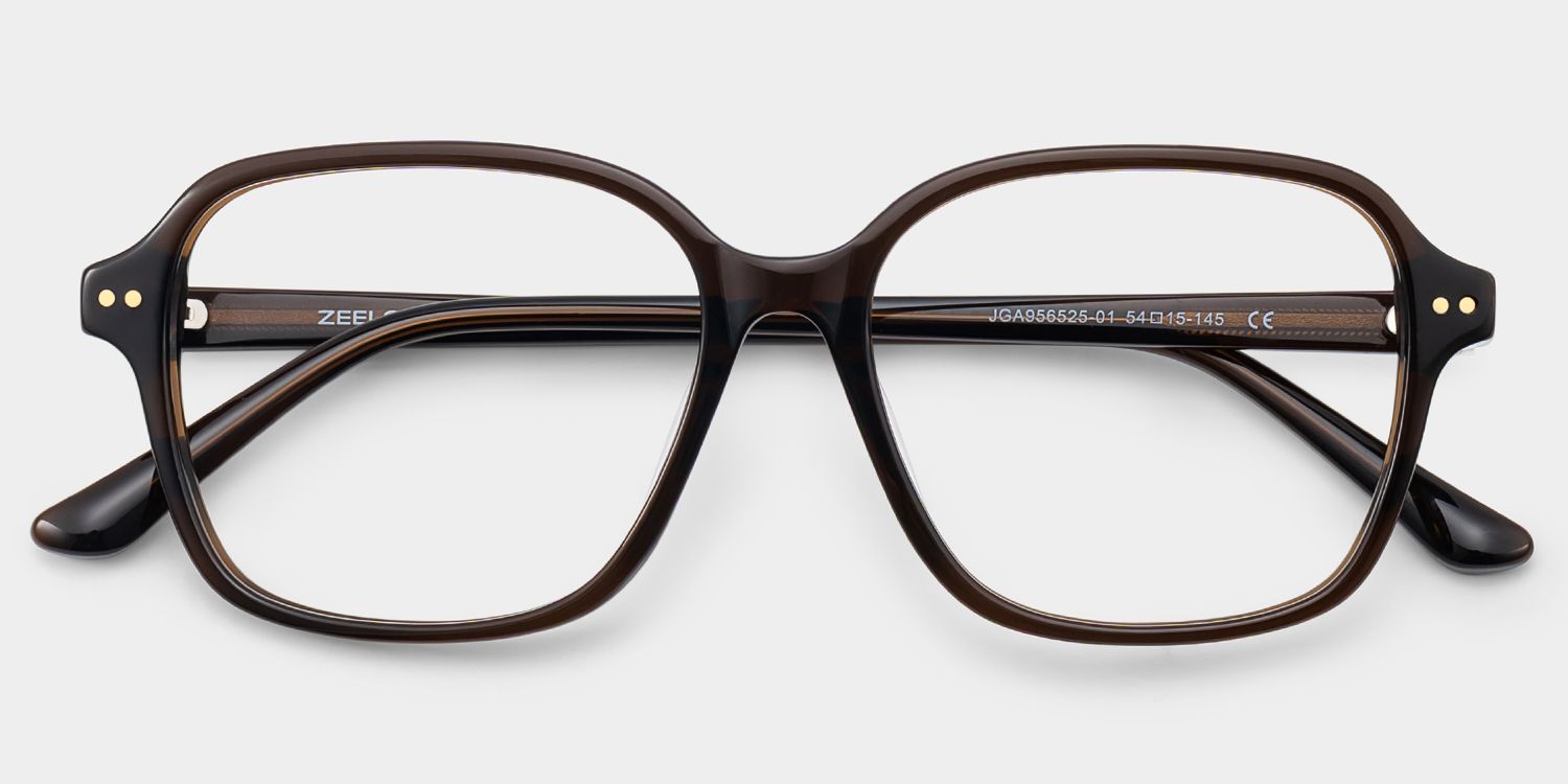 Clementine Lunettes carrées en acétate marron2