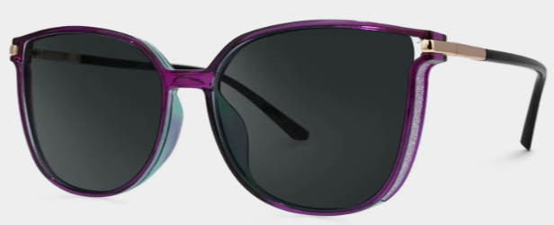 Lunettes de soleil polarisées de conduite Square Violet Rodz | ZEELOOL1