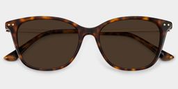 Tortue Rectangle Solaire1