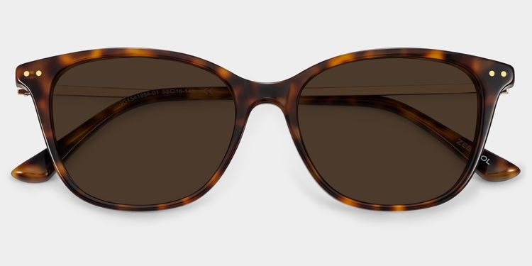 Tortue Rectangle Solaire