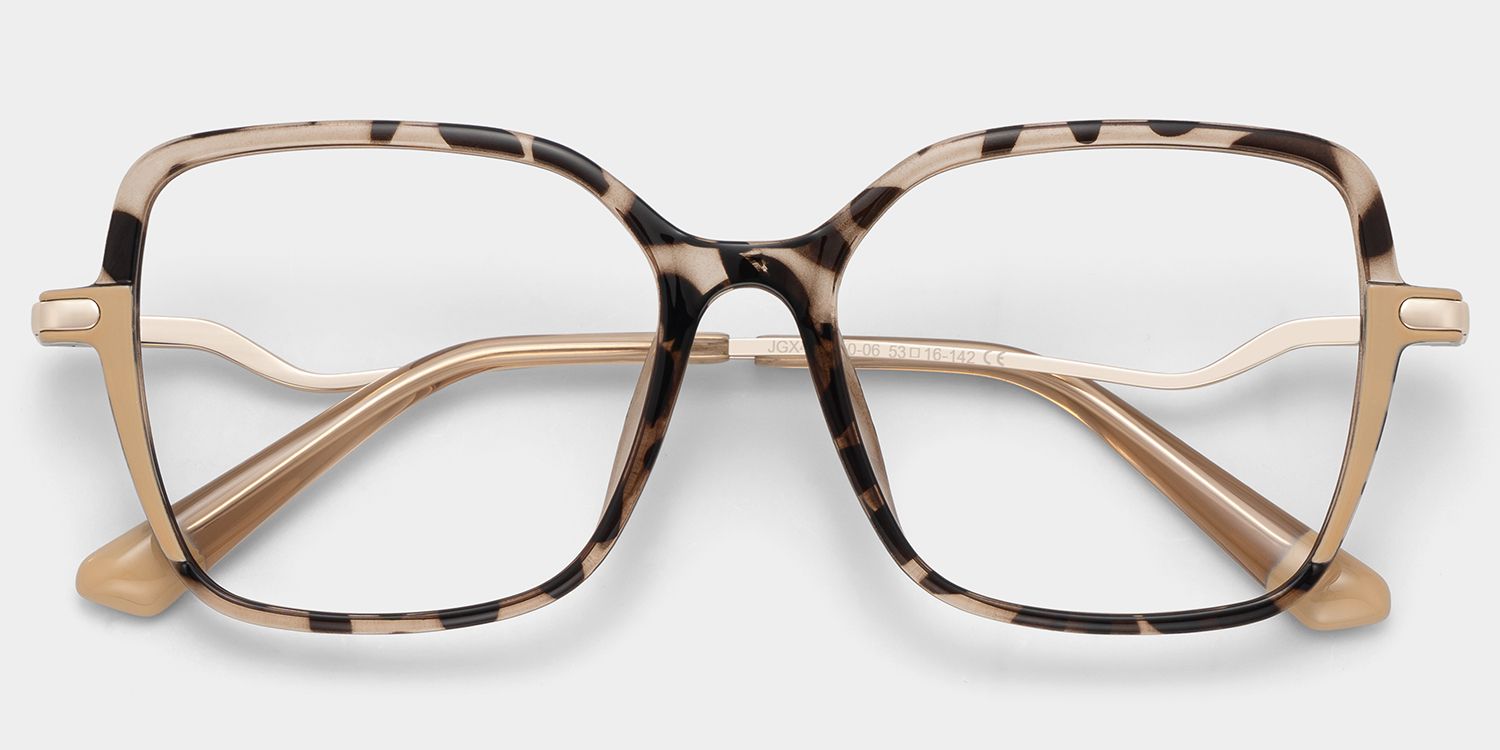 Rendon Tortue Rectangle Luenttes1