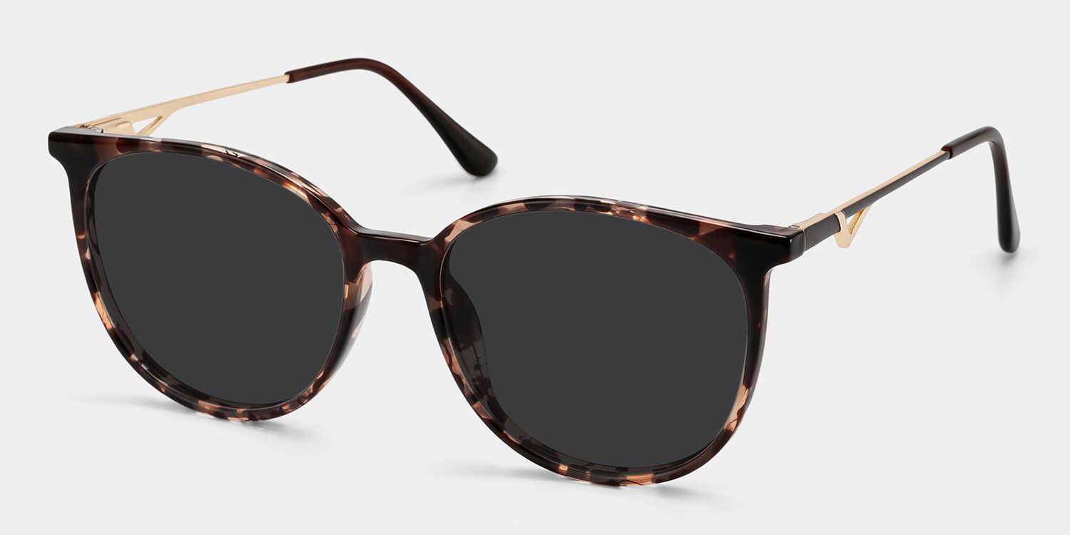 Lunettes de soleil polarisées de conduite Round Tortue Chanty | ZEELOOL2