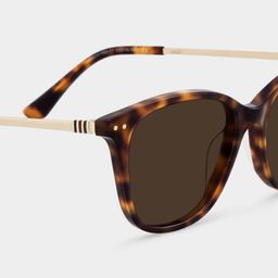 Tortue Rectangle Solaire4