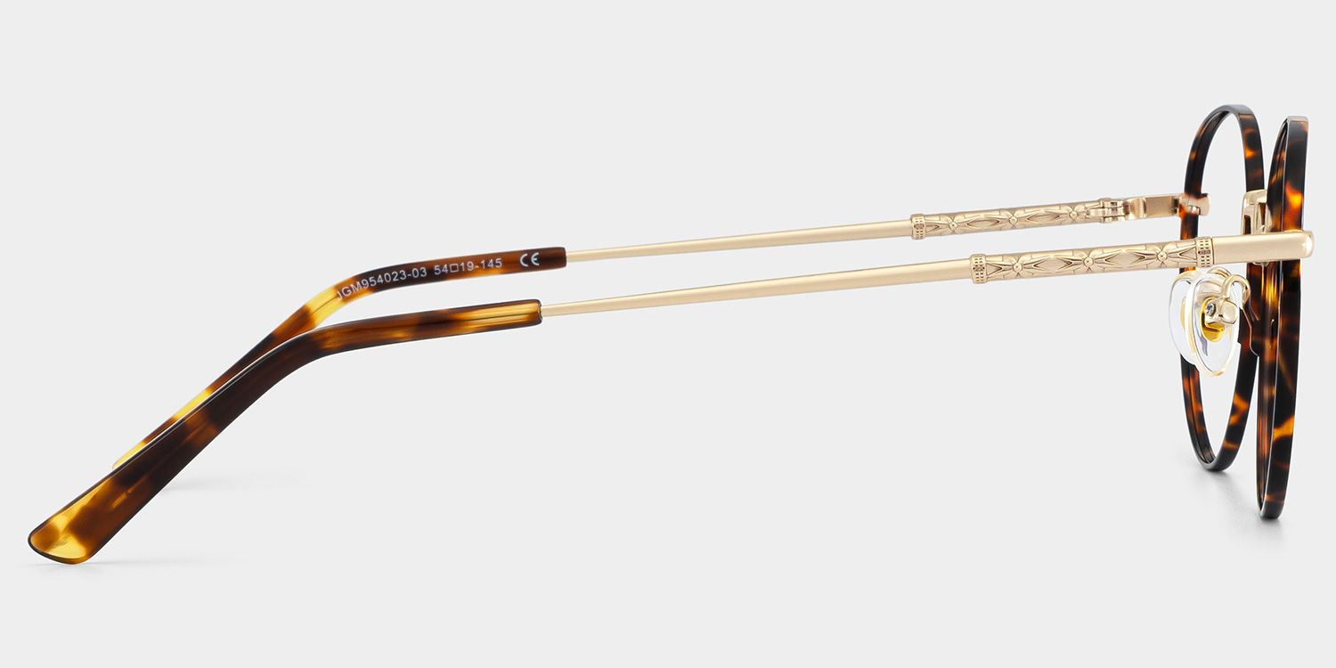 Ian Ronde Tortue Lunettes4