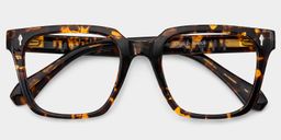 Lunettes rectangulaires tortue Nick1