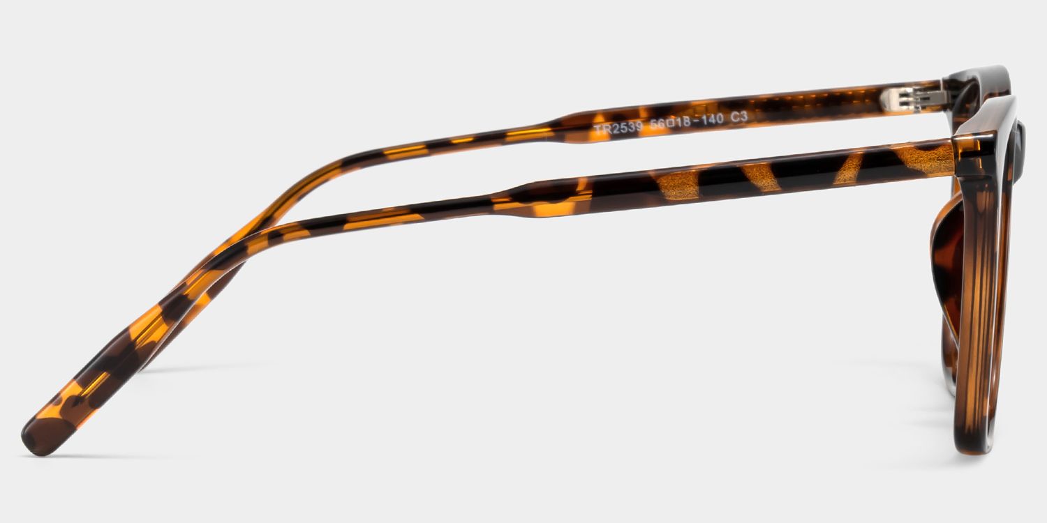 Malika Lunettes de soleil carrées écaille TR903