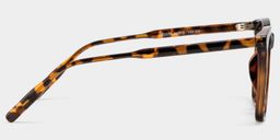 Lunettes de soleil carrées écaille TR903