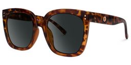 Ebony Tortue Carré lunettes de soleil2
