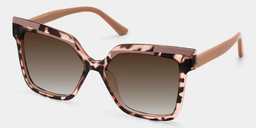 Carrées  Écaille TR90 Lunettes2
