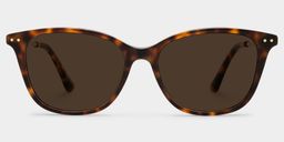 Tortue Rectangle Solaire0