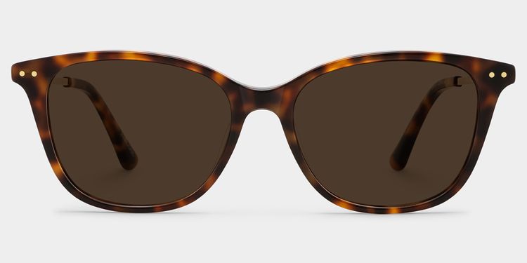 Tortue Rectangle Solaire