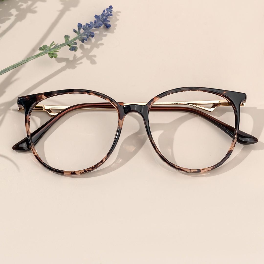 Rayne Tortue Ronde Lunettes0