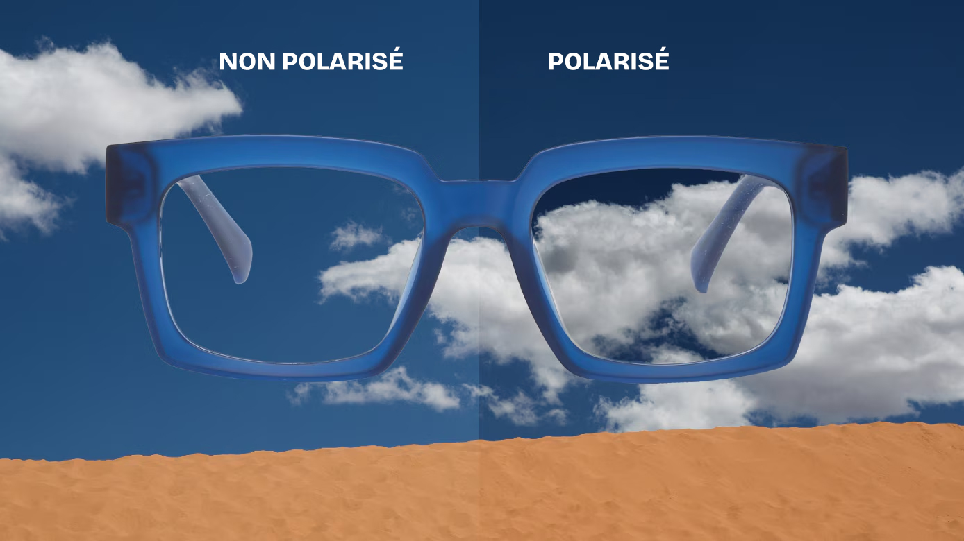 Comment Fonctionnent les Verres Polarisés ?