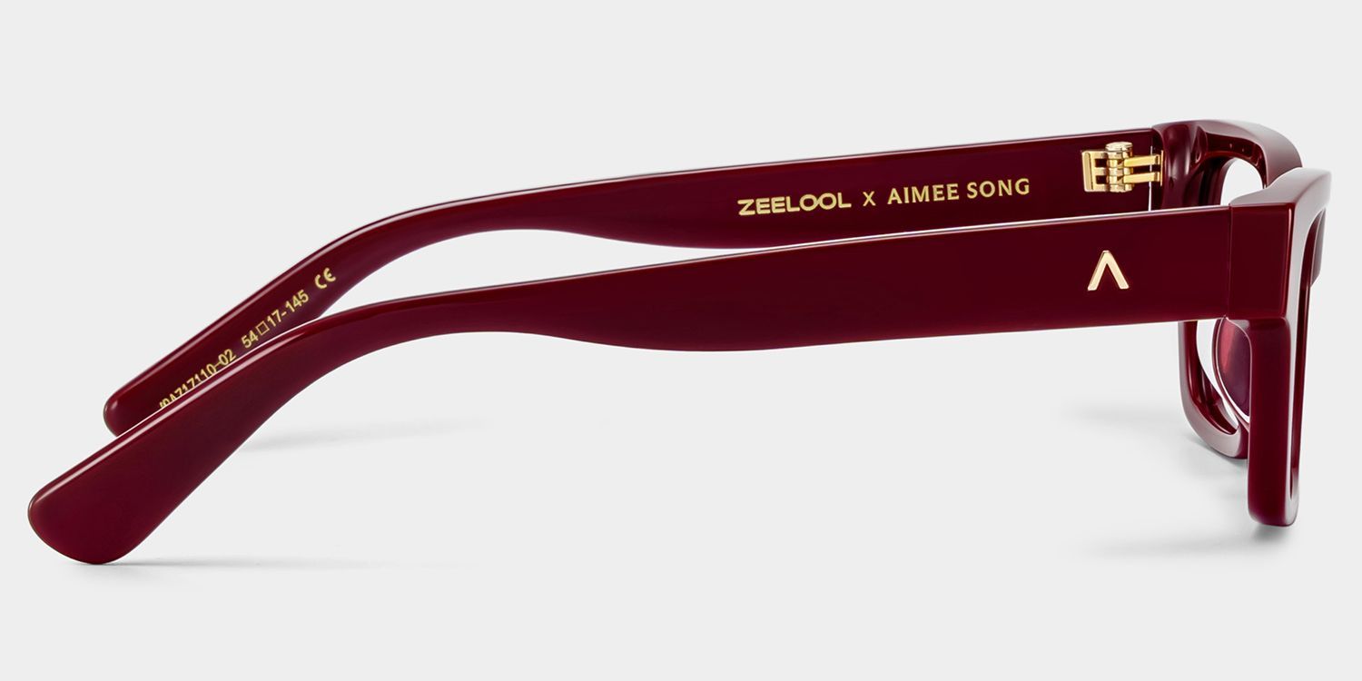Lunettes rectangulaires marron Le Classique ZEELOOL x Aimee Song4