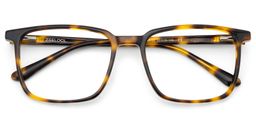 Lunettes rectangles tortue Aidan1