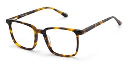 Lunettes rectangles tortue Aidan2