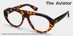 L'Aviateur Écaille Aviateur lunettes3