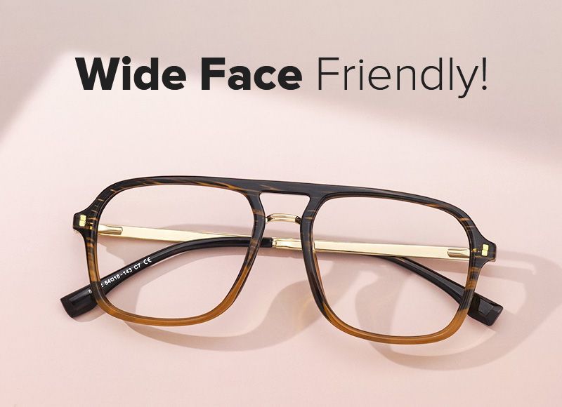 Lunettes à monture TR90 Kilworth Aviator Marron | ZEELOOL5