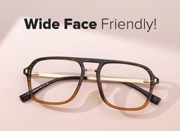 Lunettes Kilworth Aviator Marron5