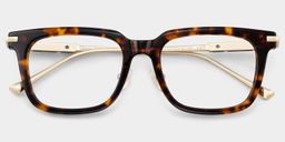 Rayne Tortue Carré lunettes1