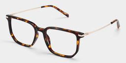 Lunettes rectangulaires tortue Michelle2