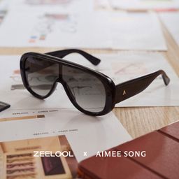 The Shield Noir Aviateur lunettes de soleil0