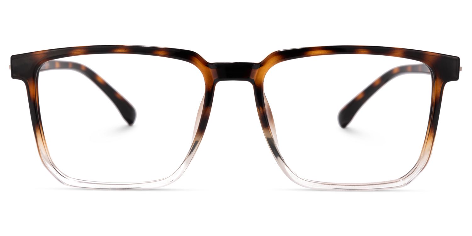 Zavala Tortue Carré Lunettes0