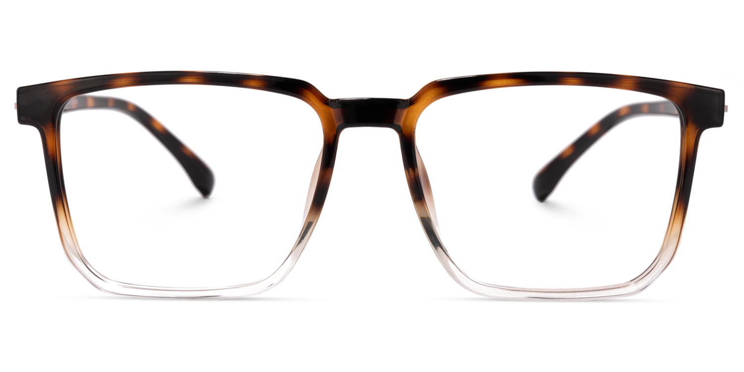 Zavala Tortue Carré Lunettes0