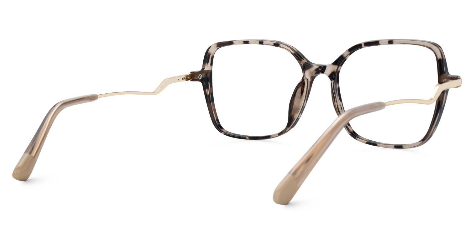 Rendon Tortue Rectangle Luenttes4
