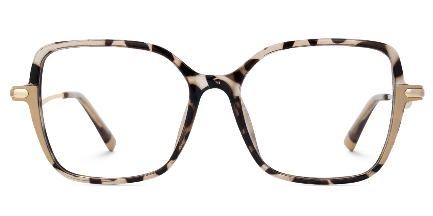 Rendon Tortue Rectangle Luenttes1