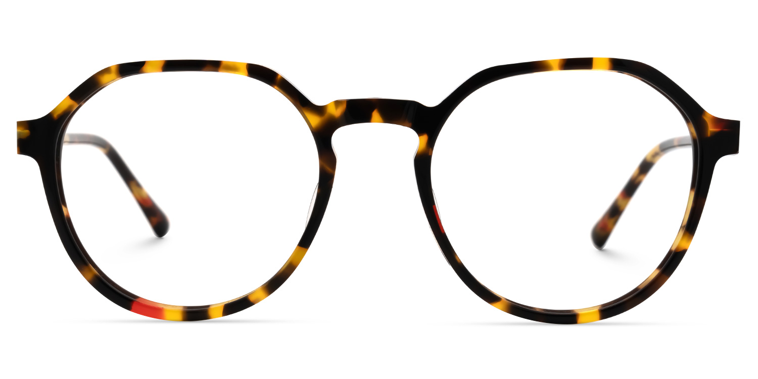 Cherso Tortue Géométrique Lunettes0