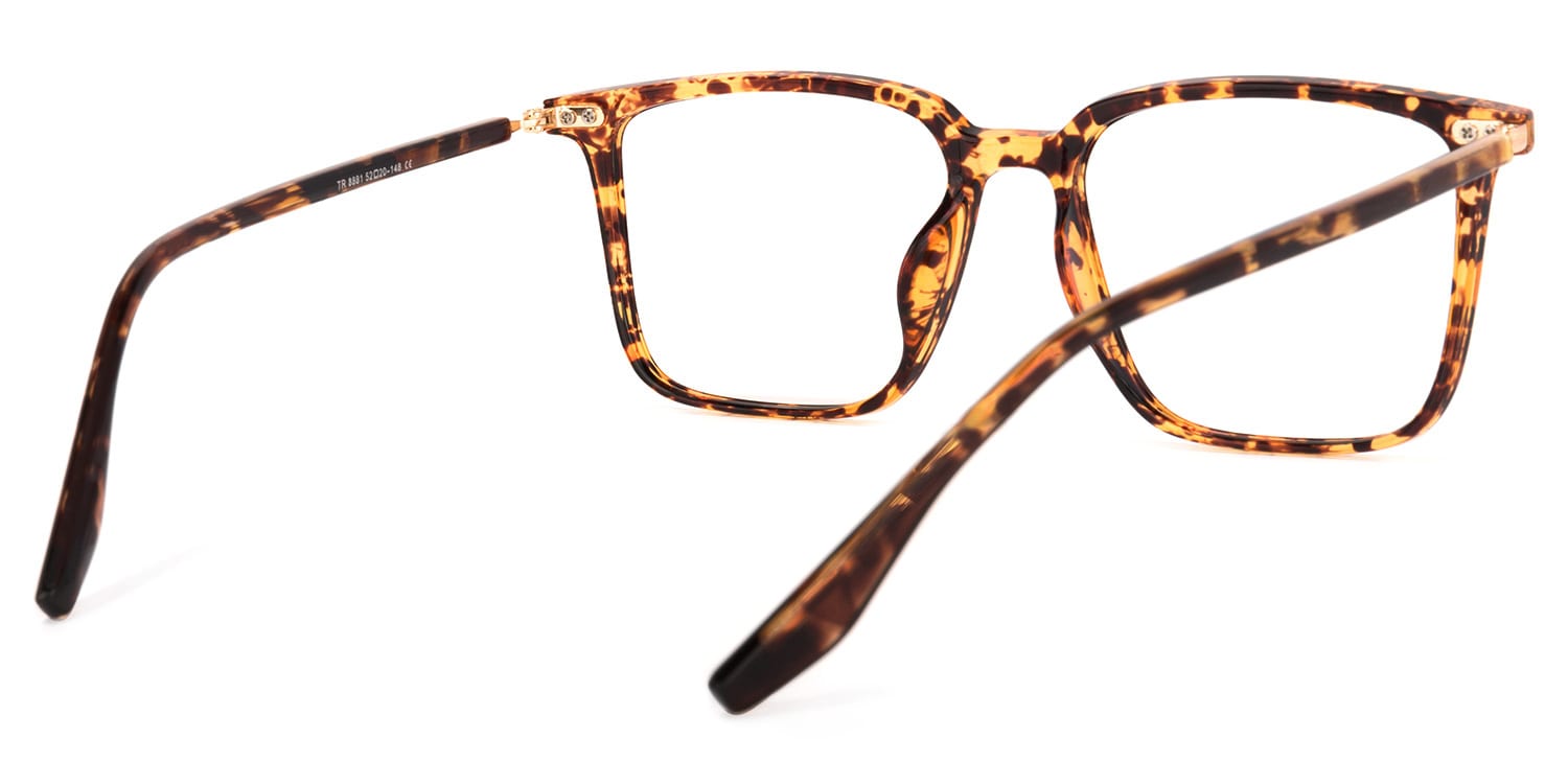 Tobias Tortue Carré Lunettes4