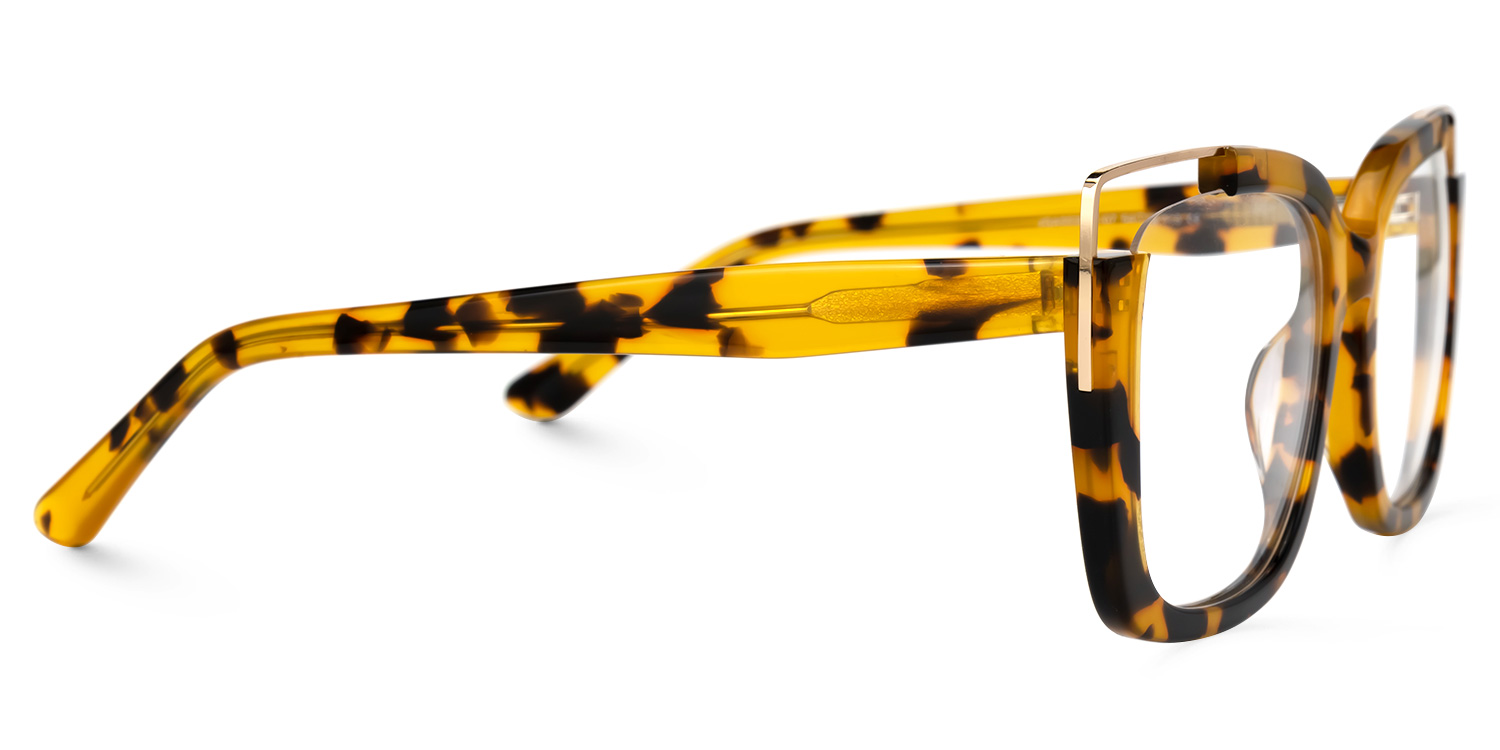 Dortch Tortue Carré Lunettes2