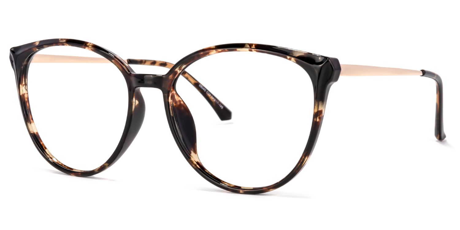 Omar Lunettes rondes Tortue1